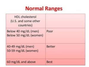 What Is Cholesterol : Is It GOOD Or BAD For Your Health?