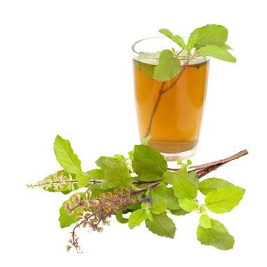 Tulsi Tea - Boost Immunity