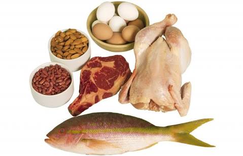 Protein rich food