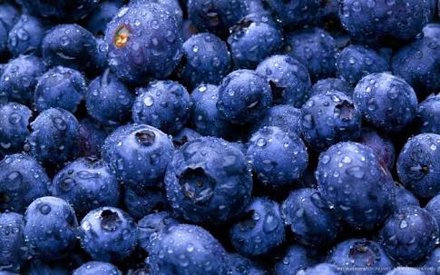 Best Foods for Pregnant Ladies - Blueberries