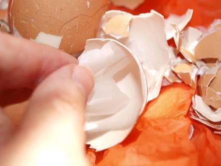 Scraped Egg White for Beauty - DIY Easy Beauty Hacks