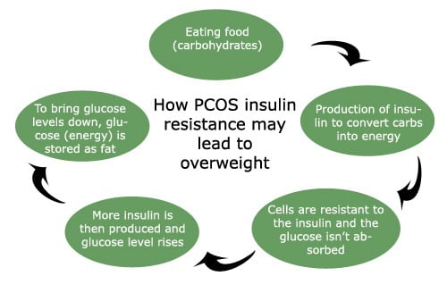 PCOS - Insulin Resistance