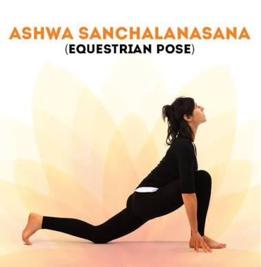 Ashwa Sanchalanasana -Equestrian pose