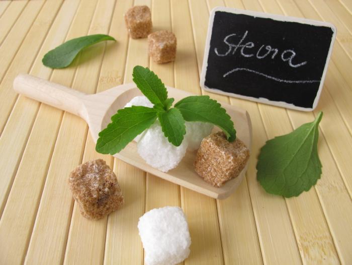 Stevia (Sugar Leaf)