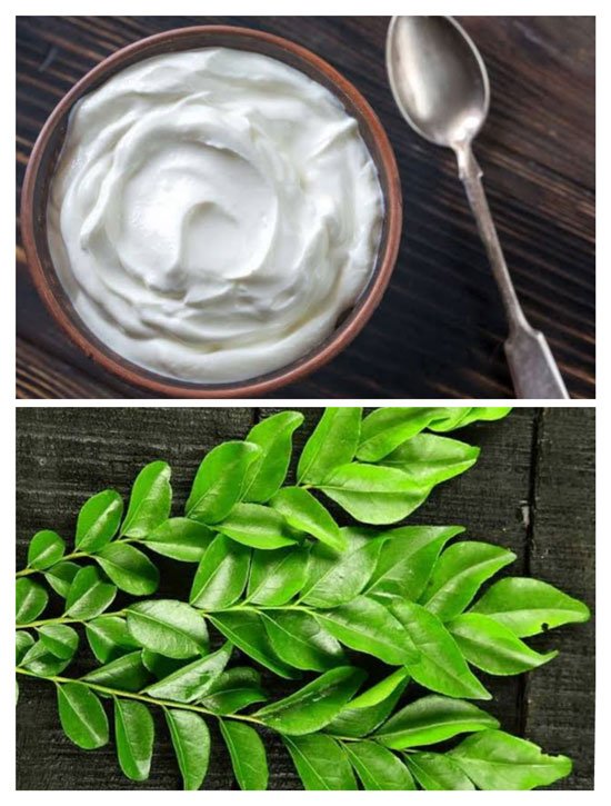 Homemade Yogurt Hair Mask For Hairfall