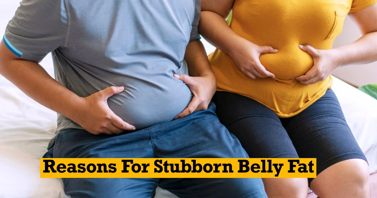 Reasons For Stubborn Belly Fat