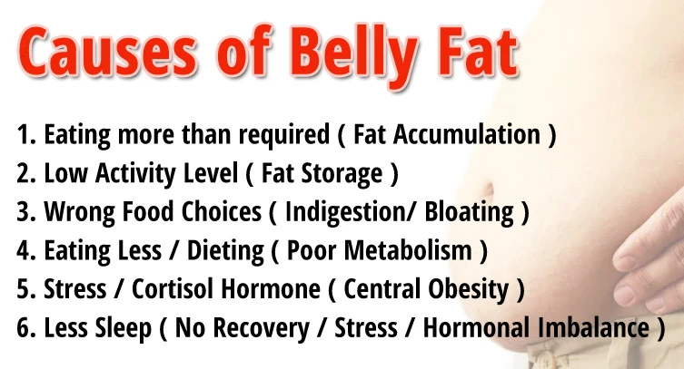 Cause of Belly Fat